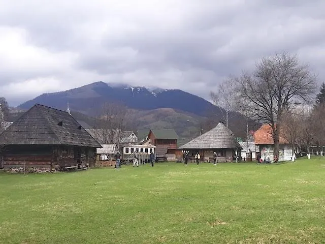 ,,у мітріци